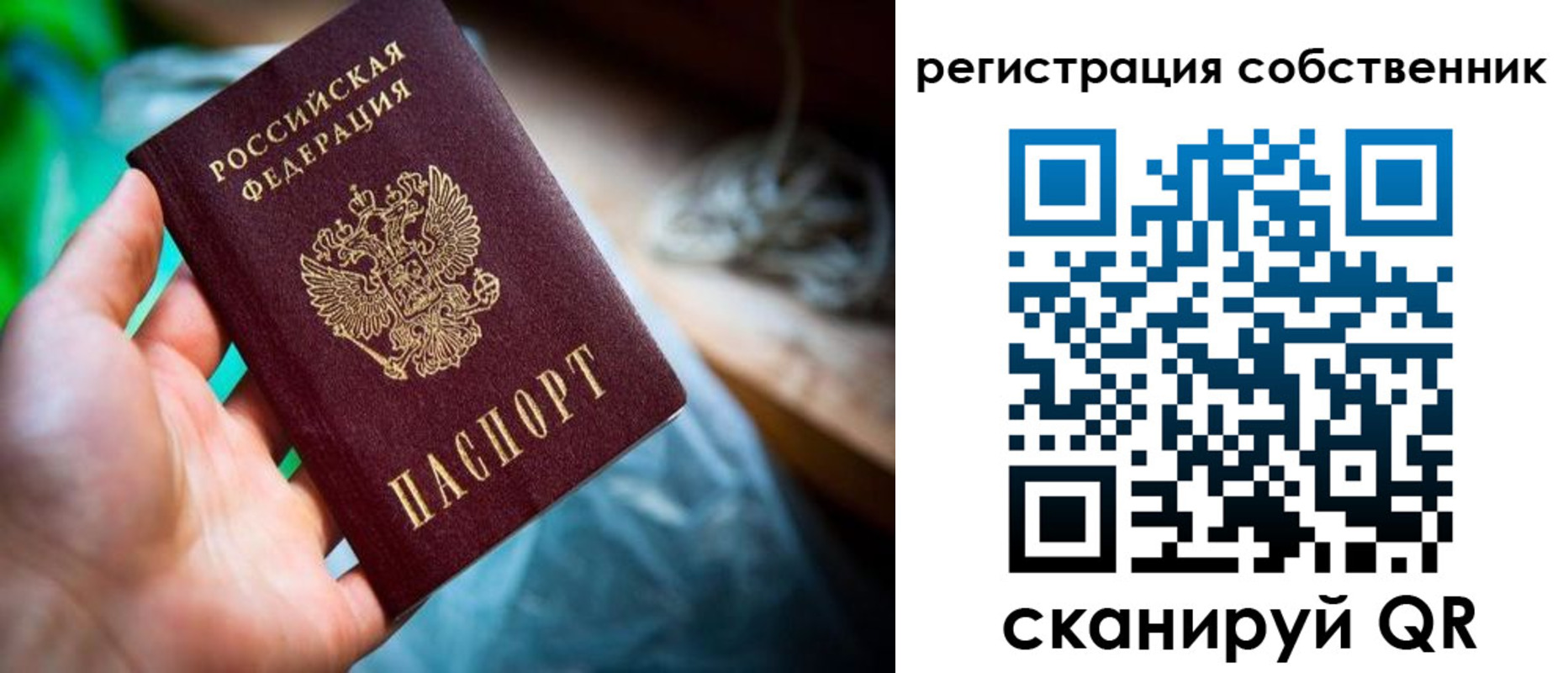 прописка гарантия в Камчатском крае